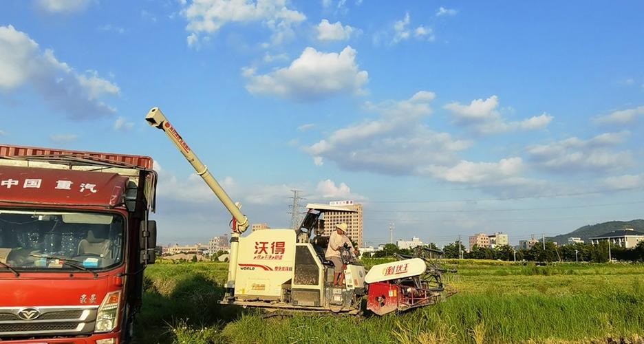 国农三农网
